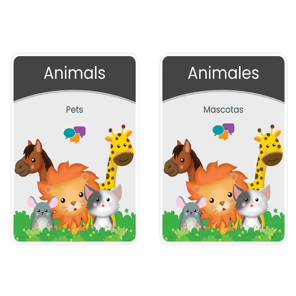 Animals - Flash Card