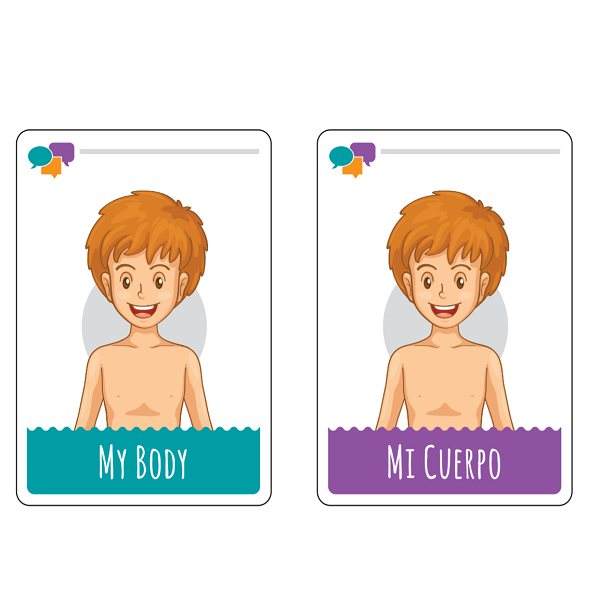 Body Flashcards Spanish/ English