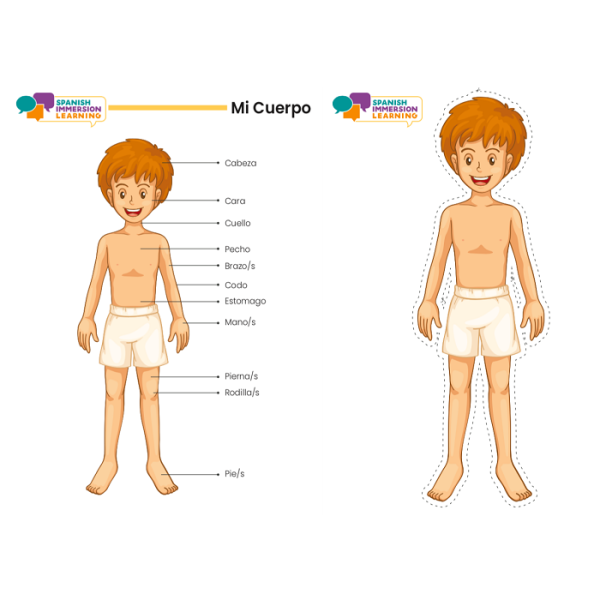 Body Parts/ Mi Cuerpo Face FlashCards Bundle - Image 2