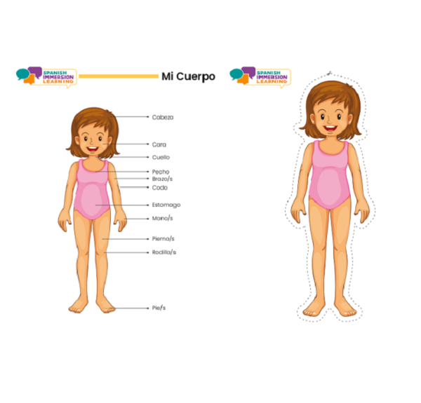 Body Parts/ Mi Cuerpo Face FlashCards Bundle - Image 3