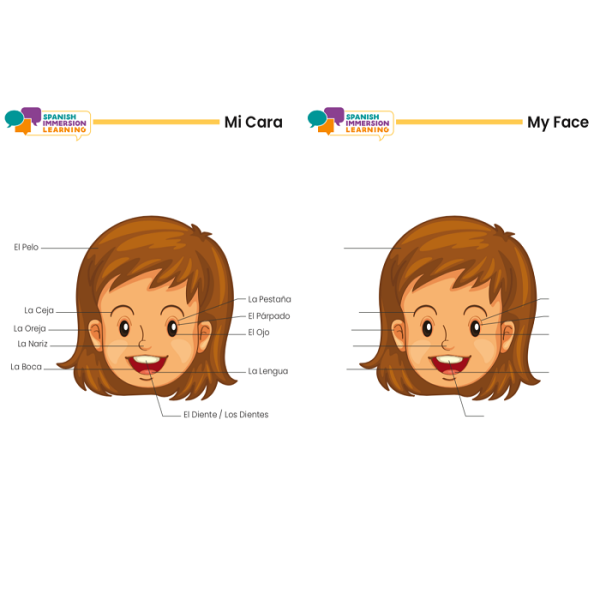 Body Parts/ Mi Cuerpo Face FlashCards Bundle - Image 4