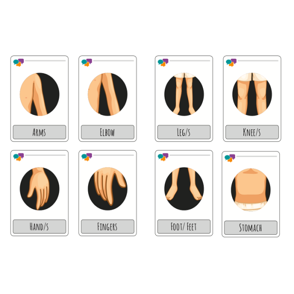 Body Parts/ Mi Cuerpo Face FlashCards Bundle