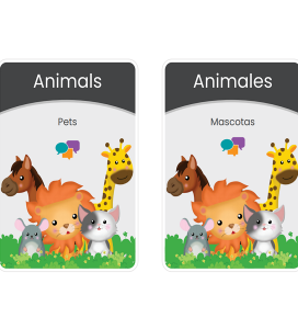 Animals – Flash Card