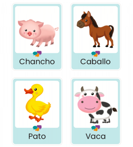 Animals – Bundle