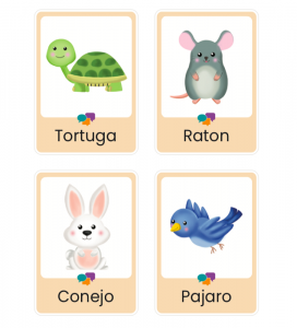 Animals – Bundle