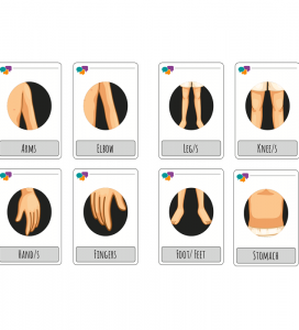 Body Parts/ Mi Cuerpo Face FlashCards Bundle